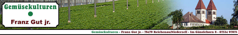 Gemüsekulturen Franz Gut jr., Insel Reichenau